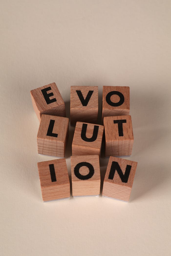 wooden-blocks-spelling-evolution-in-studio-lighting-32417519